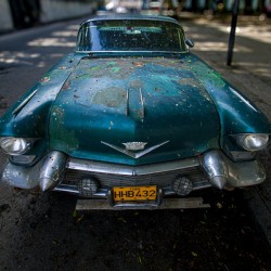 Cuban Classic