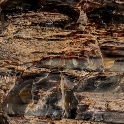 Pertified Wood