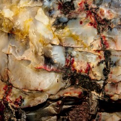 Pertified Wood III