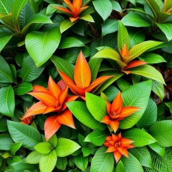 Tropical Foliage with Vibrant Orange Blooms