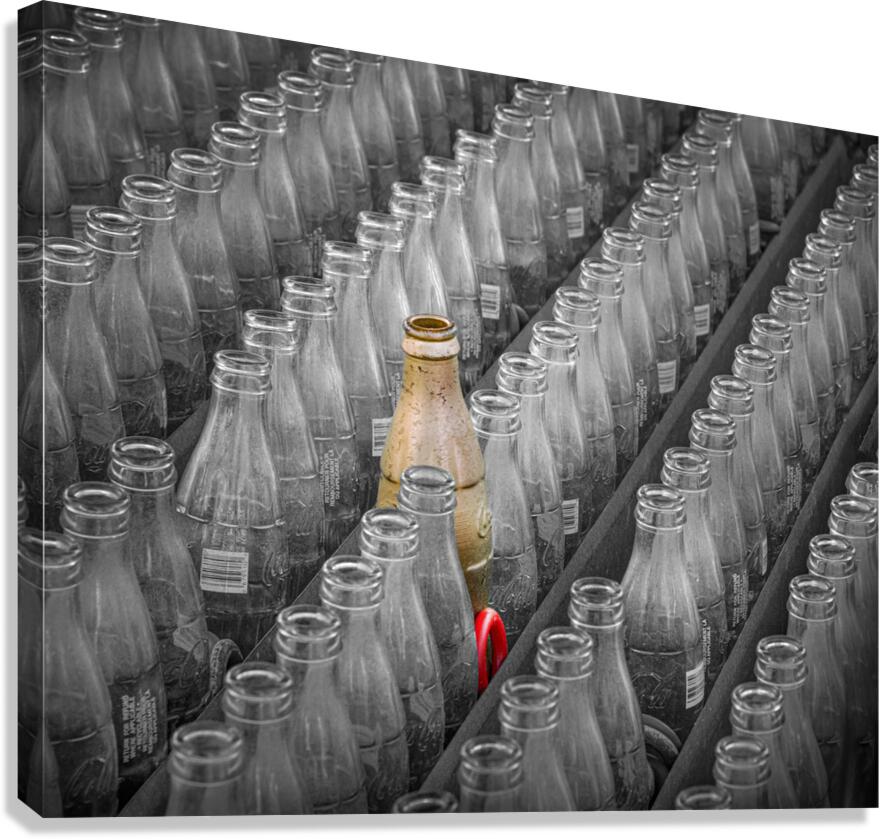 Stand out Canvas Print