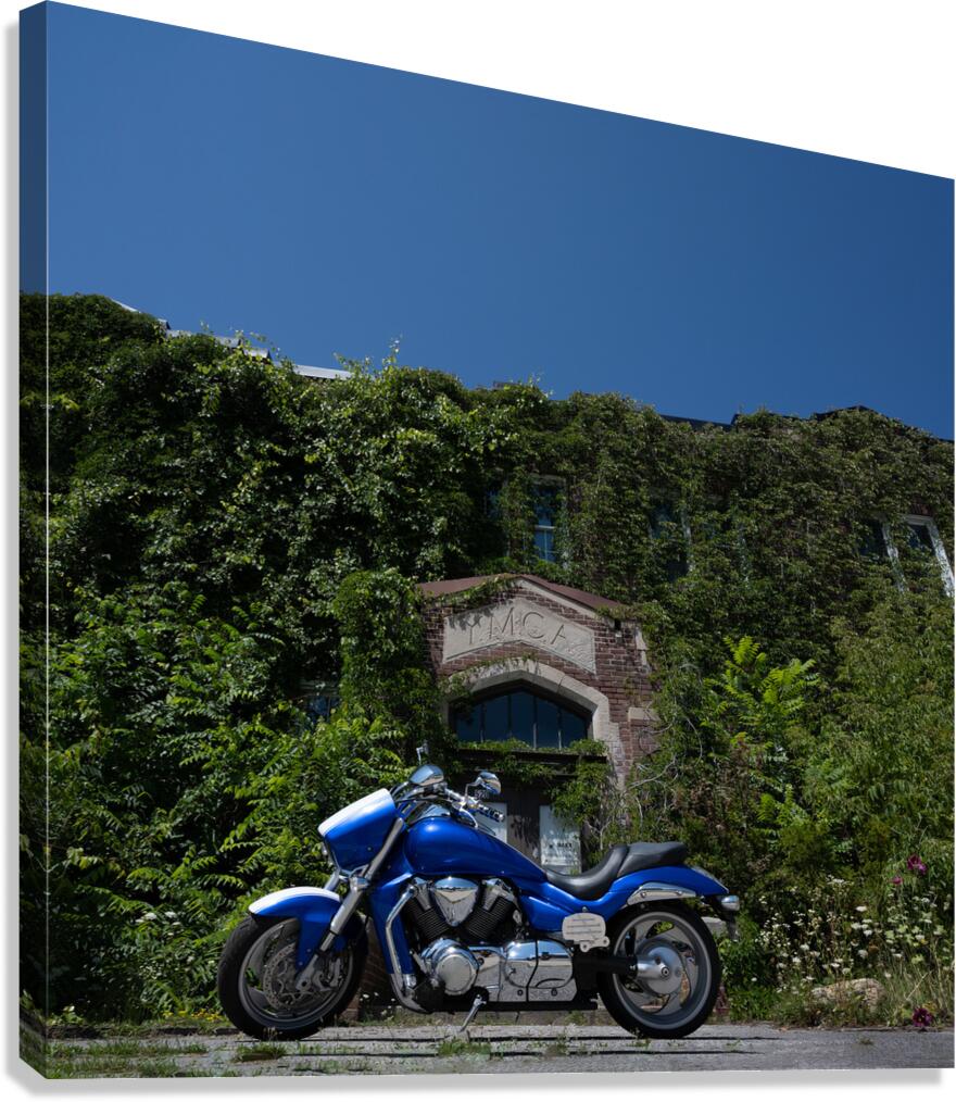 Blue Canvas Print