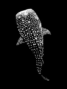 Whale Shark Dot Art Design