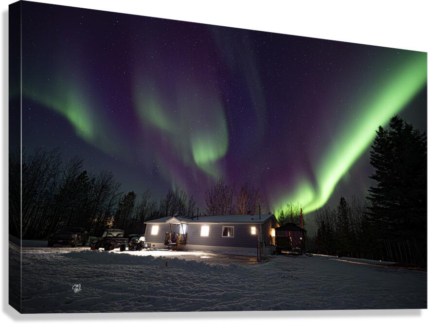 Backyard magic Canvas Print