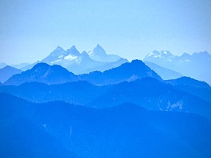 IMG 7482