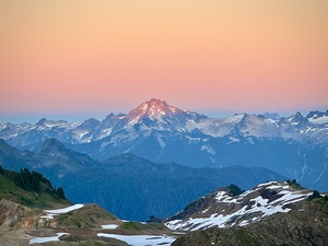 IMG 7531