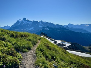 IMG 7577