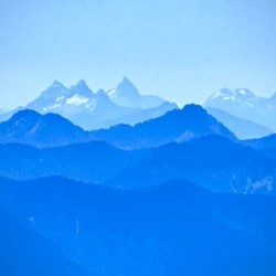 IMG 7482