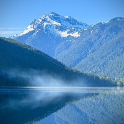 IMG 4818