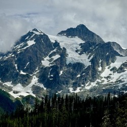 IMG 7392