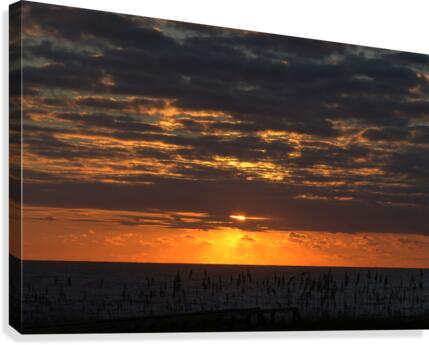 Glory Canvas Print