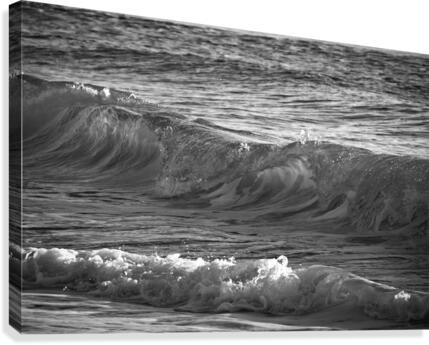 Ocean Waves Canvas Print