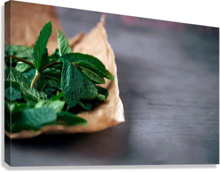 Fresh mint Canvas Print
