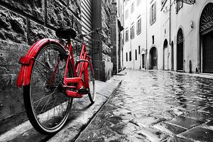 Solitary Red: A Bicycles Tale in Monochrome