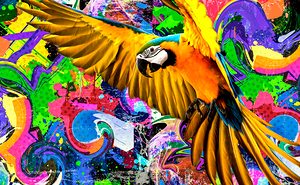 Urban Flight: Parrot Amid Graffiti Chaos