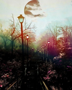The Black Garden 