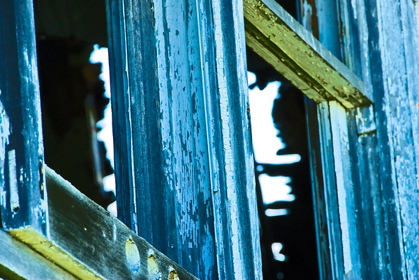 Windows   Doors