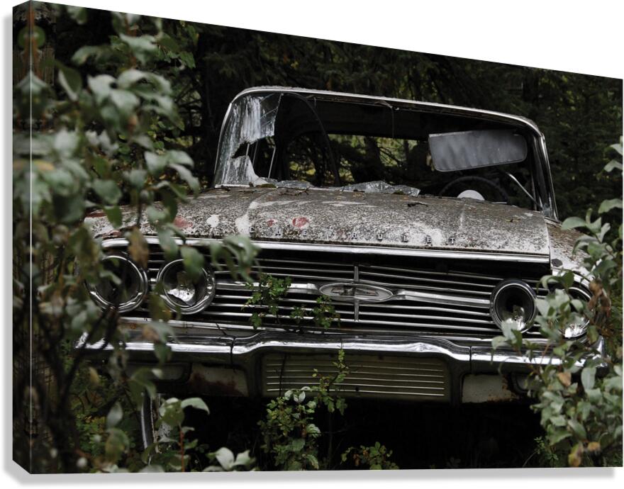 C Head On Canvas Print