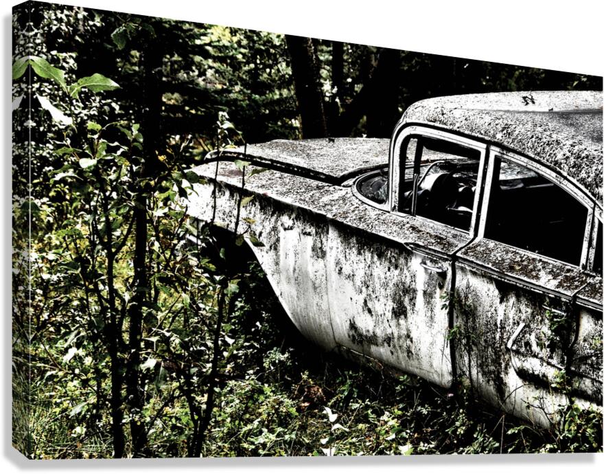 Earth Bound Canvas Print