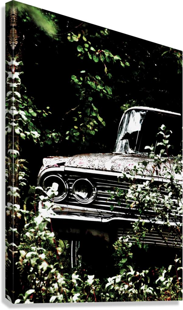 Cruising Speed Canvas Print