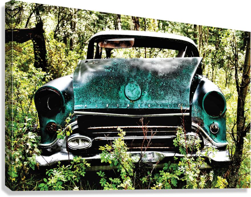 Oldest Canvas Print