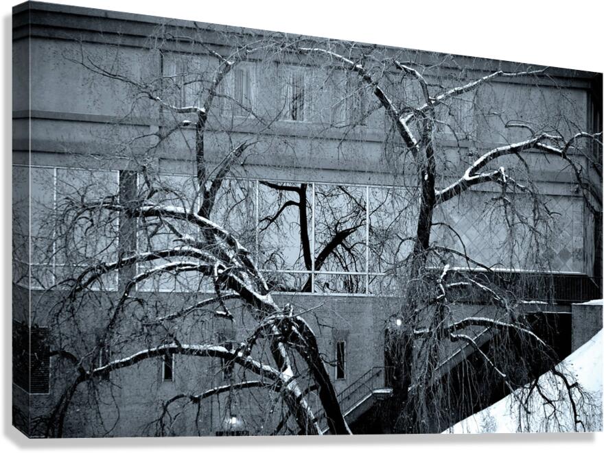 Winter Gothic Canvas Print