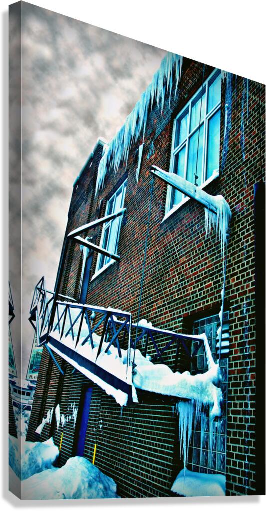 Winter Walk Up Canvas Print