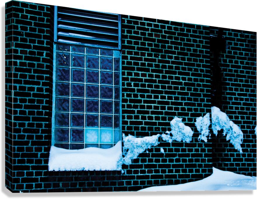 Winter Drive By Canvas Print