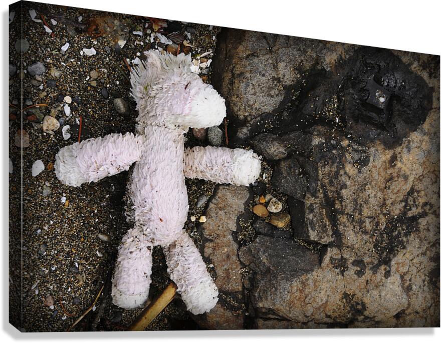 Discarded Doppleganger Canvas Print