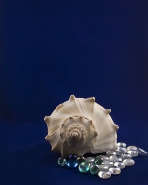 Spiral Conch Shell With Colored Glass