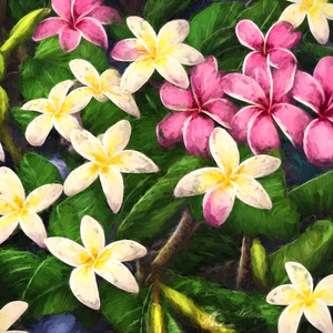 Tropical Paradise