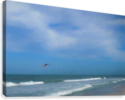 Flying Solo Canvas Print
