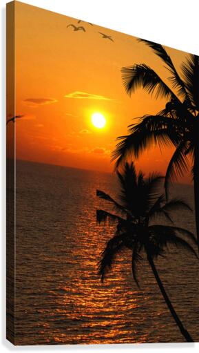 Unknown Paradise Canvas Print