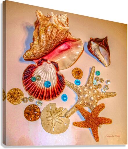 Sea Treasures Canvas Print