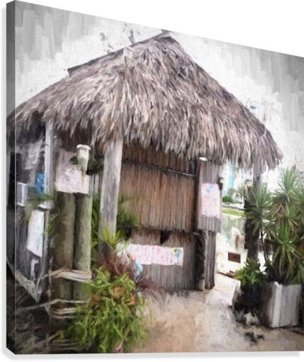 Hut Canvas Print