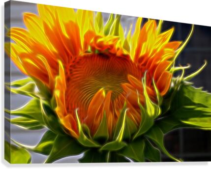Glowing Sun Canvas Print
