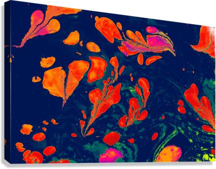 fgfs Canvas Print