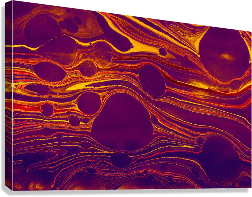 fggsd Canvas Print