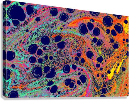e465er Canvas Print