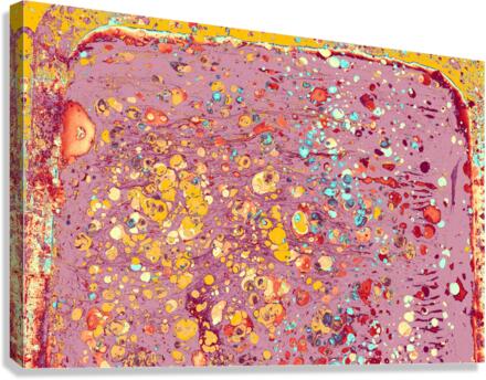 fdb Canvas Print