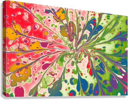 fasd Canvas Print
