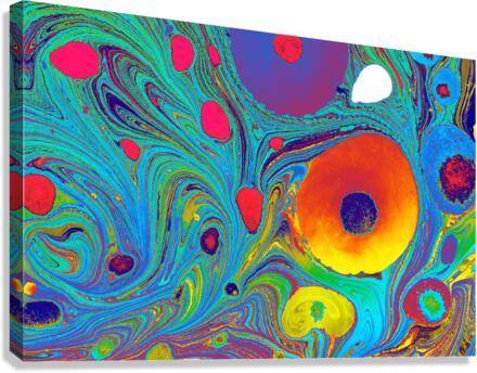 fdfsh Canvas Print