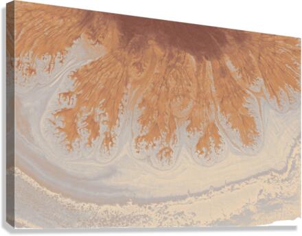 hgfhd  5 Canvas Print
