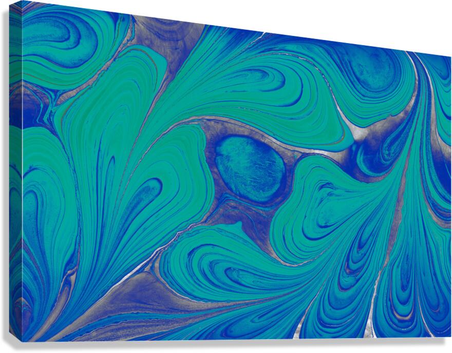 hjrg Canvas Print