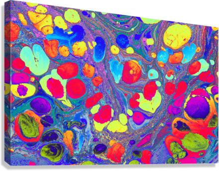 hnuyik Canvas Print