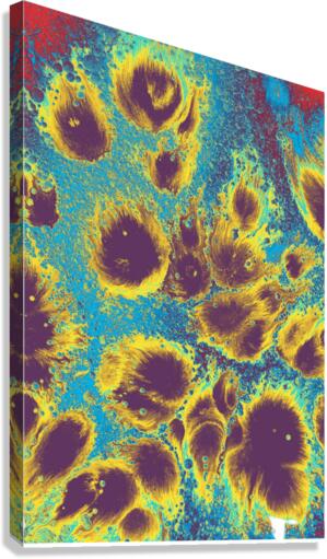 hyr Canvas Print