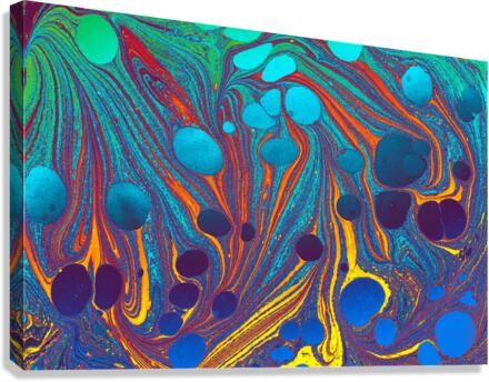 jyrlj Canvas Print