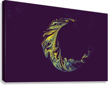 56h867 Canvas Print