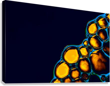 bghnthn Canvas Print