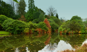 Autumn Reflection